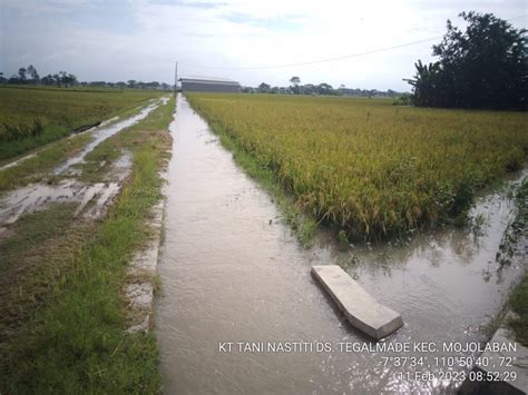 Kementan Sigap Tangani Banjir Di Areal Persawahan Kabupaten Sukoharjo