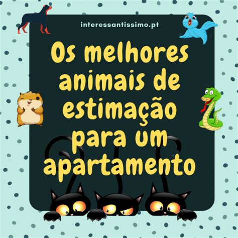 Os melhores animais de estimação para apartamentos Jornal E