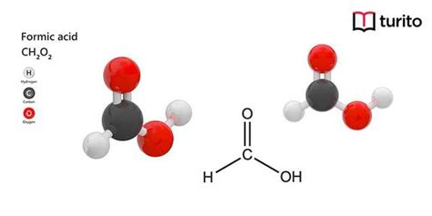 Formic Acid Formulas Structure And Properties Turito