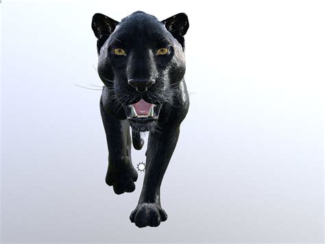 D Model Panther Lowpoly Animation Vr Ar Low Poly Rigged Animated