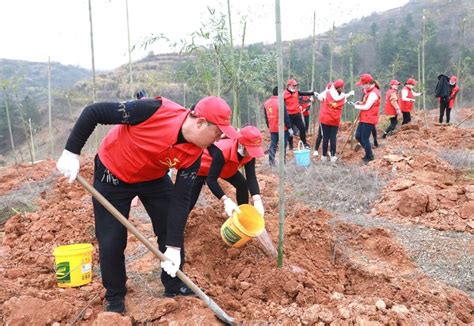 竹山县开展2021年义务植树护绿志愿服务活动 湖北文明网