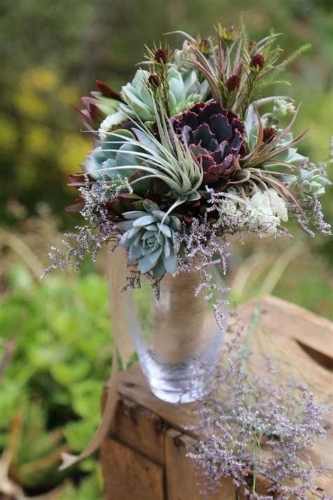 Elysian Magazine Best Tips Tricks To Keep Succulents Alive