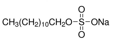 Sodium Dodecyl Sulfate Sds Solution Sds Sodium Lauryl Sulfate