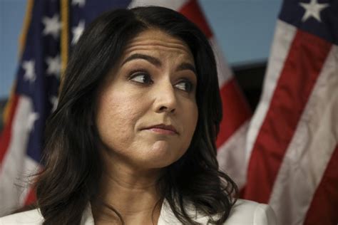 Tulsi Gabbard S Annihilation Of George Santos Receives Unexpected Praise