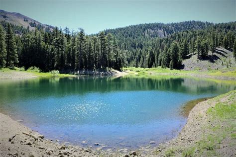 A Blue Lake Surrounded By Pine Trees In The Mountains