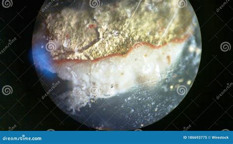 Macro Shot Of Gold Under The Microscope Stock Image Image Of