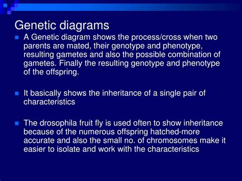 PPT - VARIATION, HEREDITY AND GENETICS PowerPoint Presentation, free download - ID:3710876