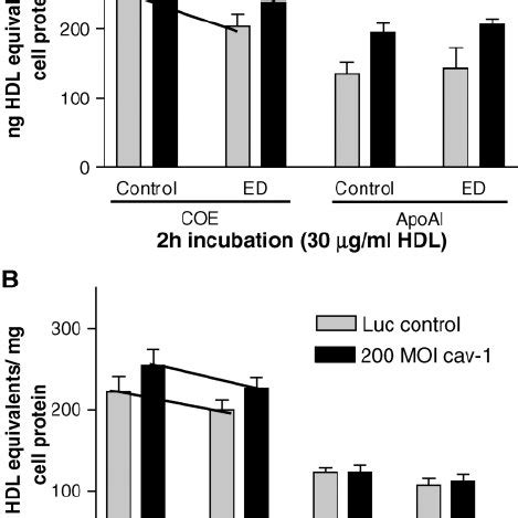 Expression Of Cav 1 Affects The Efficiency Of COE Selective Uptake From