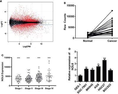 Frontiers Nol Regulates The Proliferation And Apoptosis Of Gastric