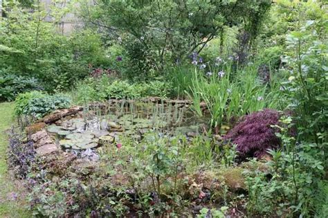 Créer une mare naturelle dans son jardin Conseils