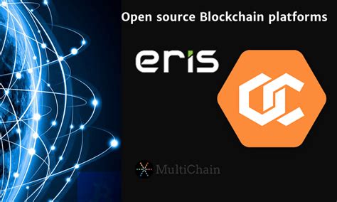 Open Source Blockchain Platforms