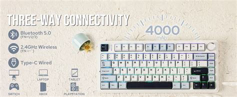 EPOMAKER X Aula F Gasket Mechanical Keyboard Wireless Hot Swappable Gaming Keyboard With