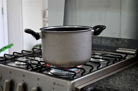 Free picture: cooking, pot, kitchen, stainless, steel, stove