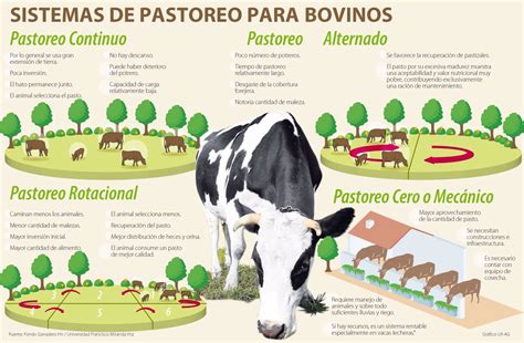 Sistemas De Pastoreo Pastos Y Forrajes