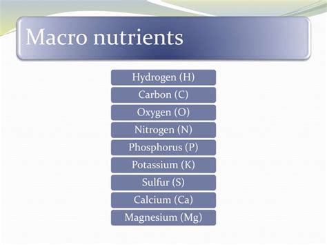 Macronutrients role in plants