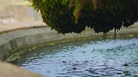 Stagnant Water Stock Video Footage for Free Download