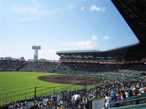 夏空や球児の夢の甲子園 写真俳句ブログ