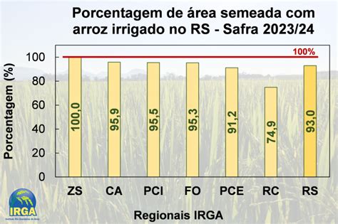 Semeadura do arroz avança no Rio Grande do Sul Destaque Rural