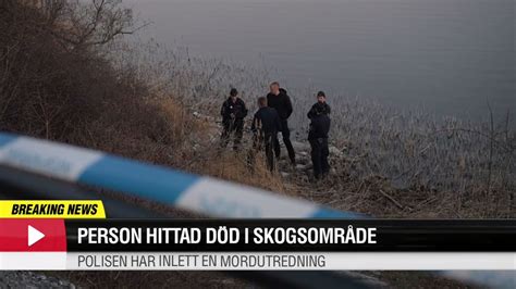 Person Hittad Död I Skogsområde Aftonbladet