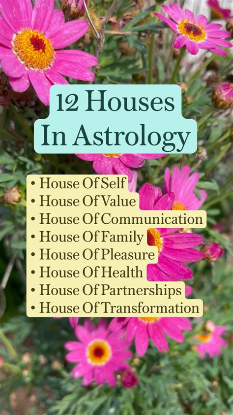 What Do The 12 Houses Mean In Astrology In 2023 Effective