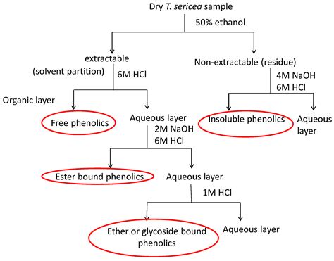 Molecules Free Full Text Antioxidant Activity And Spectroscopic