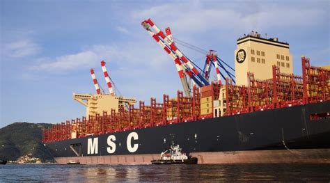 MSC Nicola Mastro Approda Presso La Spezia Container Terminal