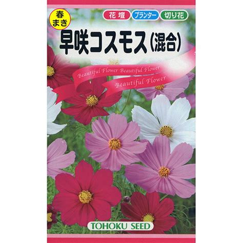 【楽天市場】トーホク トーホクのタネ 早咲コスモス 11 2 6 価格比較 商品価格ナビ