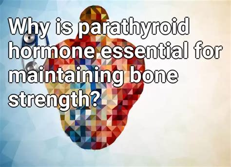 Why Is Parathyroid Hormone Essential For Maintaining Bone Strength