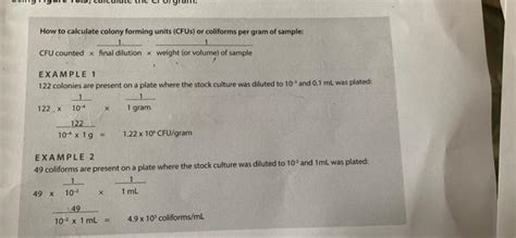 Solved How To Calculate Colony Forming Units Cfu Or