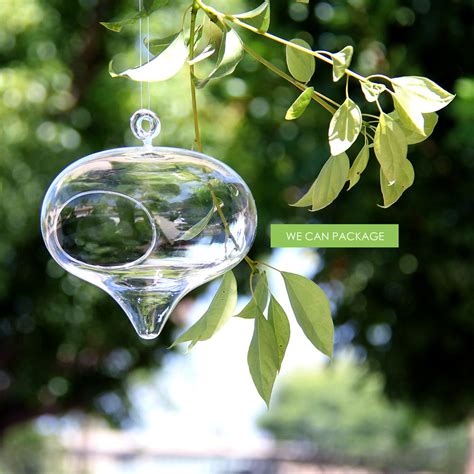 Hanging Glass Globes Geometric Terrarium Containers Glass Orbs