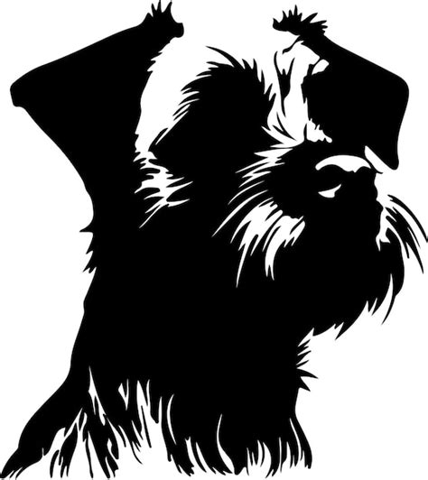 Premium Vector Border Terrier Black Silhouette With Transparent