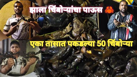 झाला चिंबोऱ्यांचा पाऊस🦀🦀 एक तासात पकडल्या 50 चिंबोऱ्या😱 Youtube