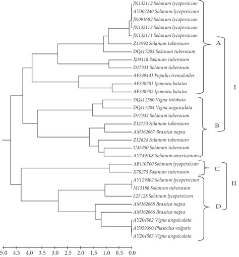 A Phylogenetic Tree Indicating Relationship Of Sequenced Pi Genes