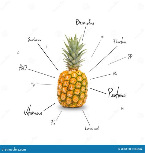 La Composition Chimique De L Ananas Illustration Stock Illustration