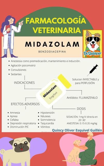 Midazolam Dr Quinver UDocz