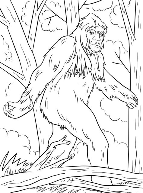 19 Bigfoot Coloring Page Mahmoodwalid