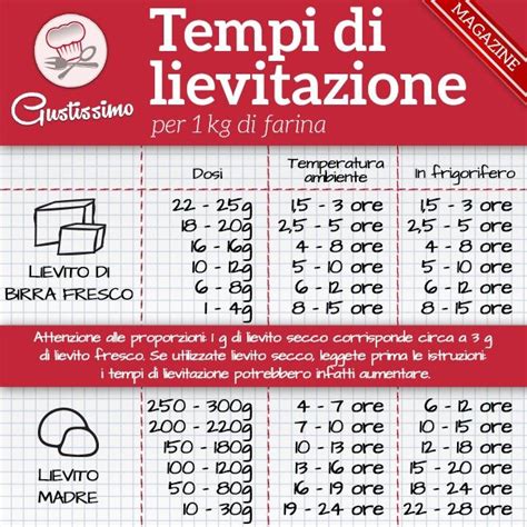 Lievito Di Birra Fresco E Lievito Madre I Tempi Di Lievitazione