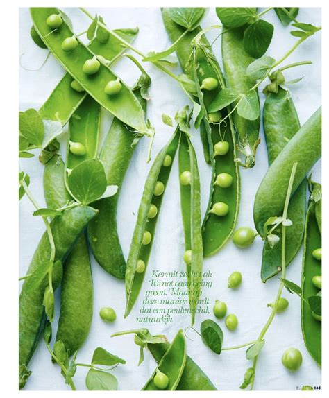 Pea Pods And Green Peas On A White Tablecloth With The Words Gourmet