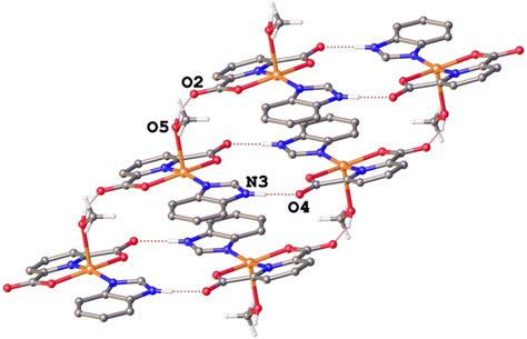 1d Supramolecular Chain Structure Of Complex 1 The Hydrogen Atoms Are Download Scientific