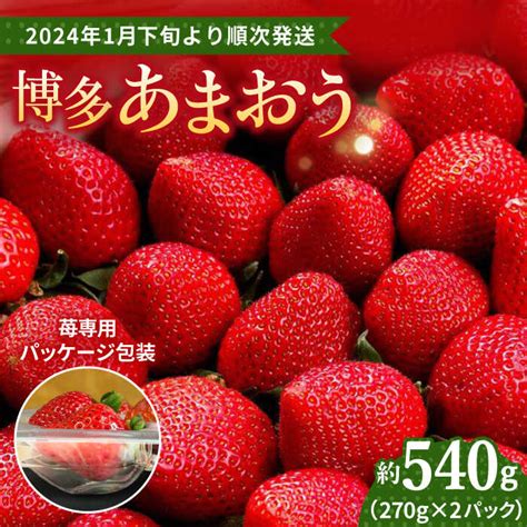 【楽天市場】【ふるさと納税】【2024年1月下旬より順次発送】農家直送 朝採り新鮮いちご【博多あまおう】約270g×2＜株式会社h