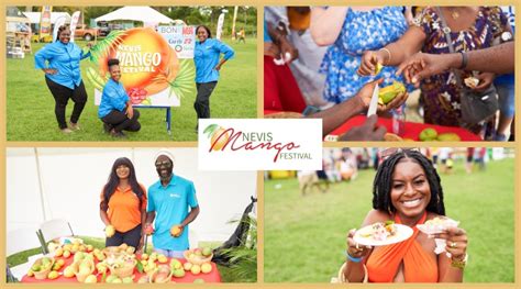 Nevis Das Mangofestival Ehrt Die Königin Der Tropenfrüchte Das Karibikportal