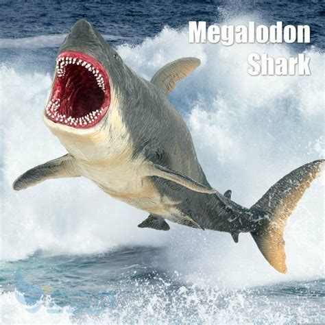 Megalodon Shark Vs Great White Shark Jaws