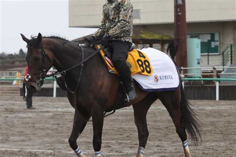 【中山牝馬s】ククナが好気配で有終の美飾る｜競馬ニュース｜競馬予想のウマニティ