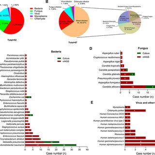 Prognostic Risk Factors For Recovery In Patients With Severe