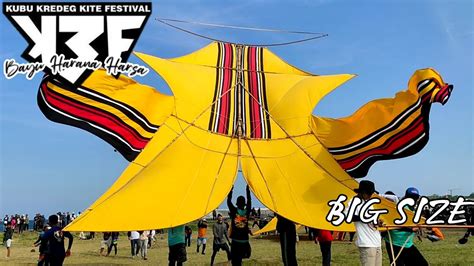 Lomba Layang Layang Kubu Kredeg Kite Festival Bali 2023 Seri Bebean Big