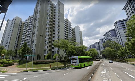 Rare White Myna Spotted In Choa Chu Kang Playing Happily With Friends