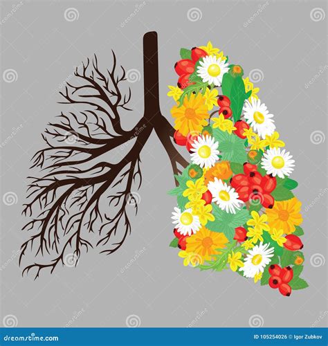 Pulm Es Humanos Sistema Respirat Rio Pulm Es Saud Veis Luz Sob A Forma