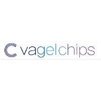 Vagelchips Company Profile Valuation Funding Investors Pitchbook