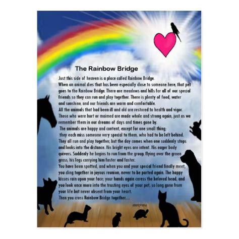 Rainbow Bridge Poem Postcard | Zazzle