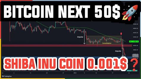 Bitcoin Next 50k Shiba Inu Big Move🚀 अचानक क्यू हुआ Bitcoin Pump Alts